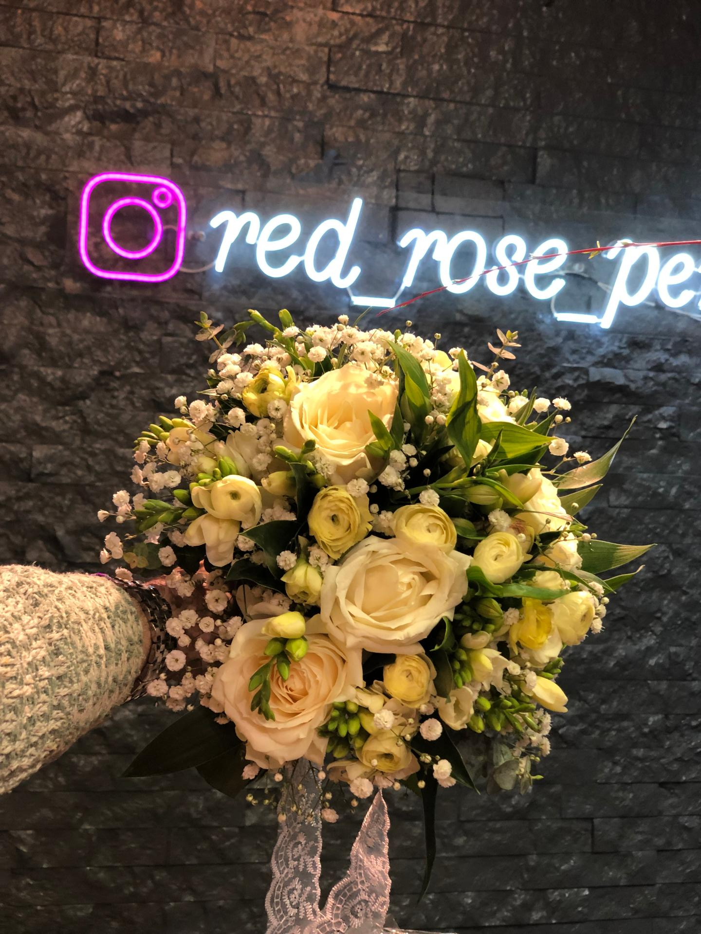 عکس گلکده رز قرمز