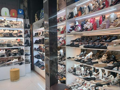 شهر کفش ناصر 