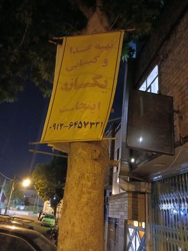 عکس تهیه غذا یگانه