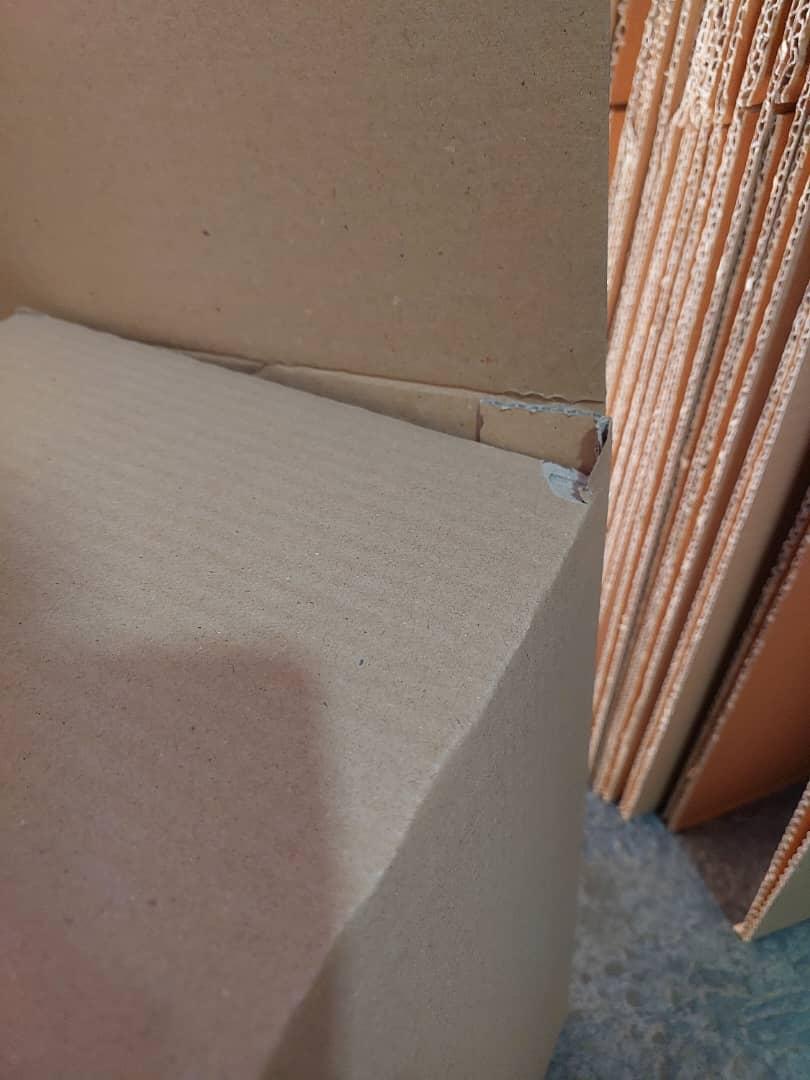 عکس کارتن یارسینه