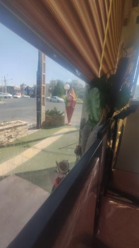 عکس بستنی چمن