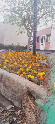 عکس رستوران لاله