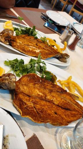 عکس رستوران یاس هتل میزبان