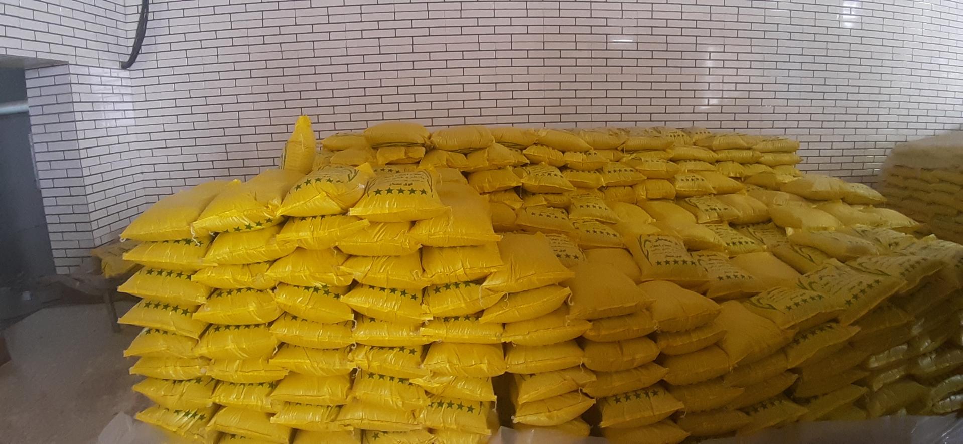 عکس پخش برنج زَرمیر 