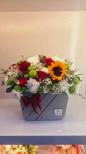 عکس گالری‌ گل بالسا