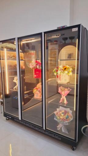 گالری‌ گل بالسا