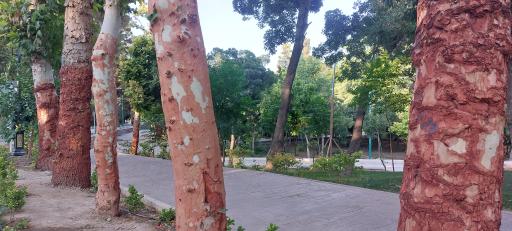 مجموعه تفریحی آبشار شاهرود