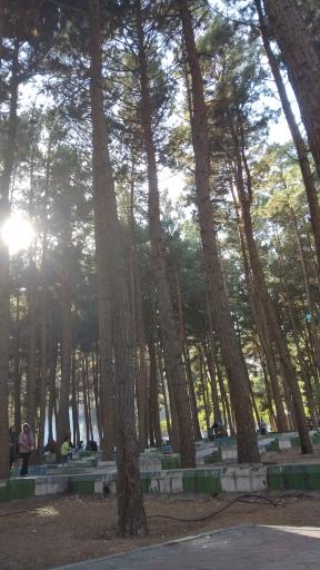 مجموعه تفریحی آبشار شاهرود