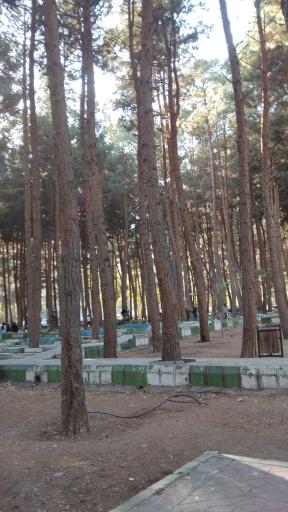 مجموعه تفریحی آبشار شاهرود