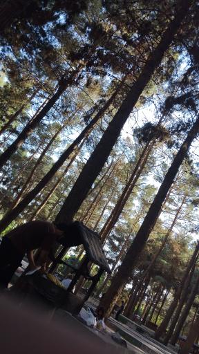 عکس مجموعه تفریحی آبشار شاهرود