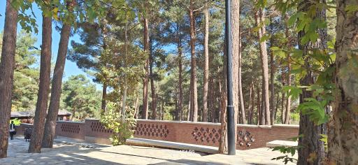 عکس مجموعه تفریحی آبشار شاهرود