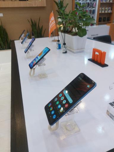 عکس پرشین تل