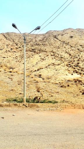 عکس مجموعه تفریحی آبشار شاهرود