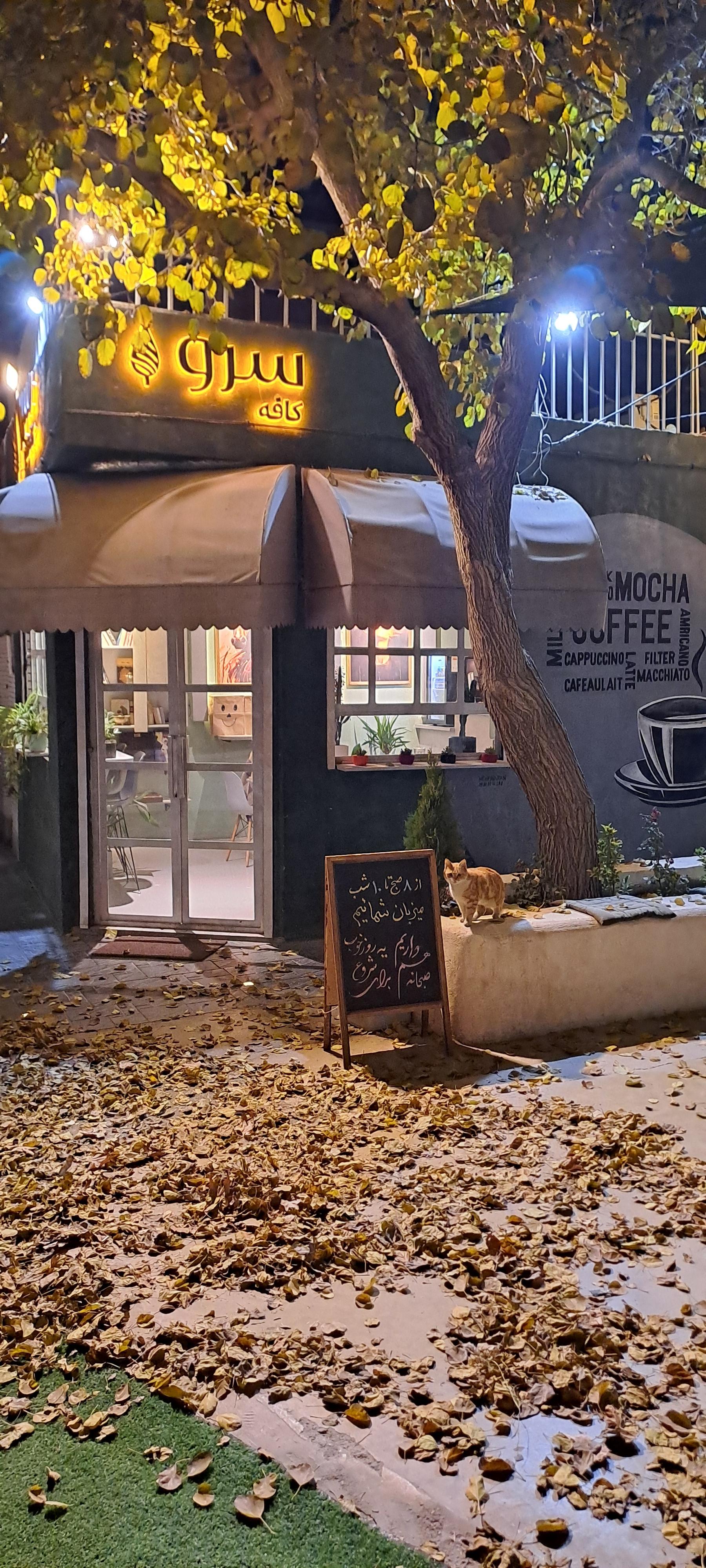 عکس کافه سرو