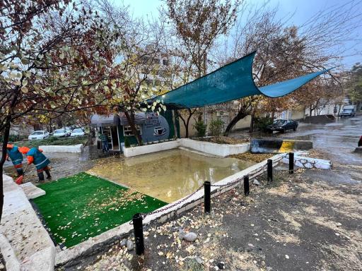 عکس کافه سرو