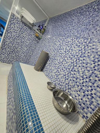 عکس استخر آب درمانی صبا