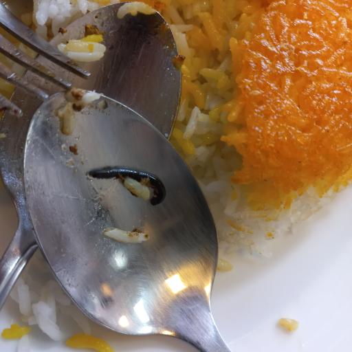 عکس رستوران محلی سیتکا