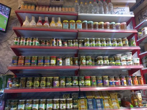 عکس پروتئینی پارسا 