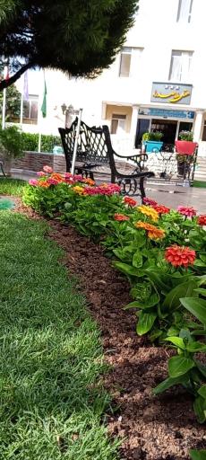 عکس هتل ملاصدرا