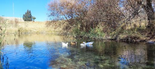 عکس چشمه قمپ آتشکده