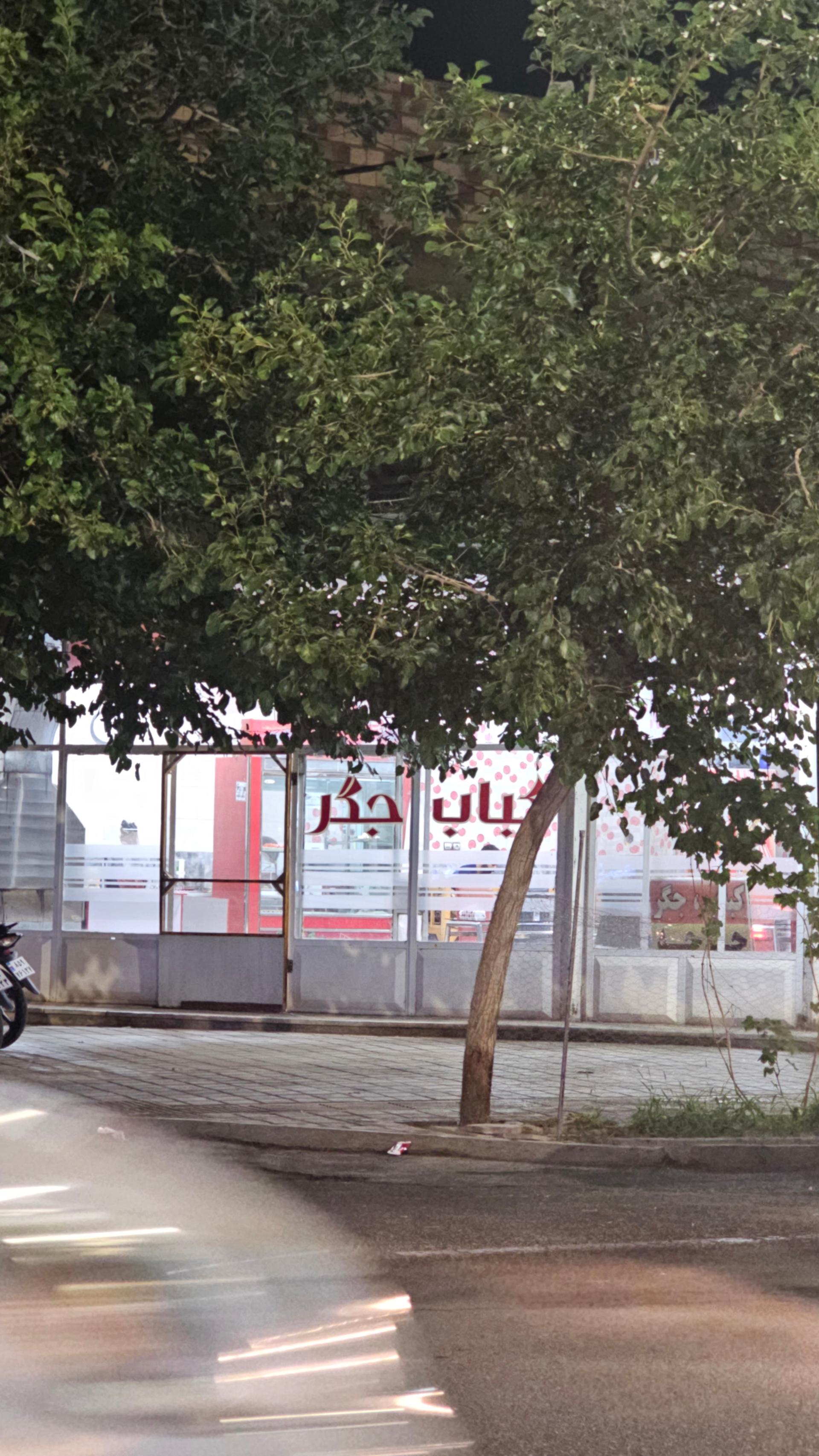 عکس کبابی منصور