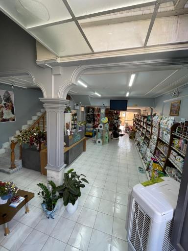 عکس کلینیک حیوانات خانگی وتیوا