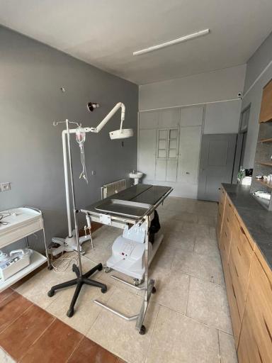 عکس کلینیک حیوانات خانگی وتیوا