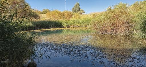 عکس چشمه قمپ آتشکده