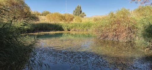 عکس چشمه قمپ آتشکده