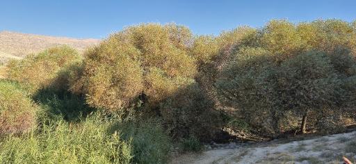 عکس چشمه قمپ آتشکده