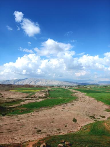 عکس مورموری