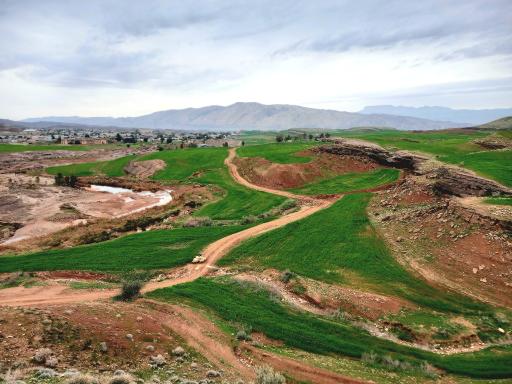 عکس مورموری