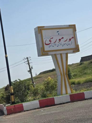 عکس مورموری