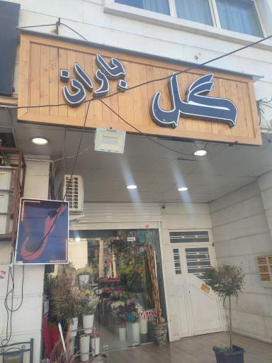 عکس گل فروشی  باران