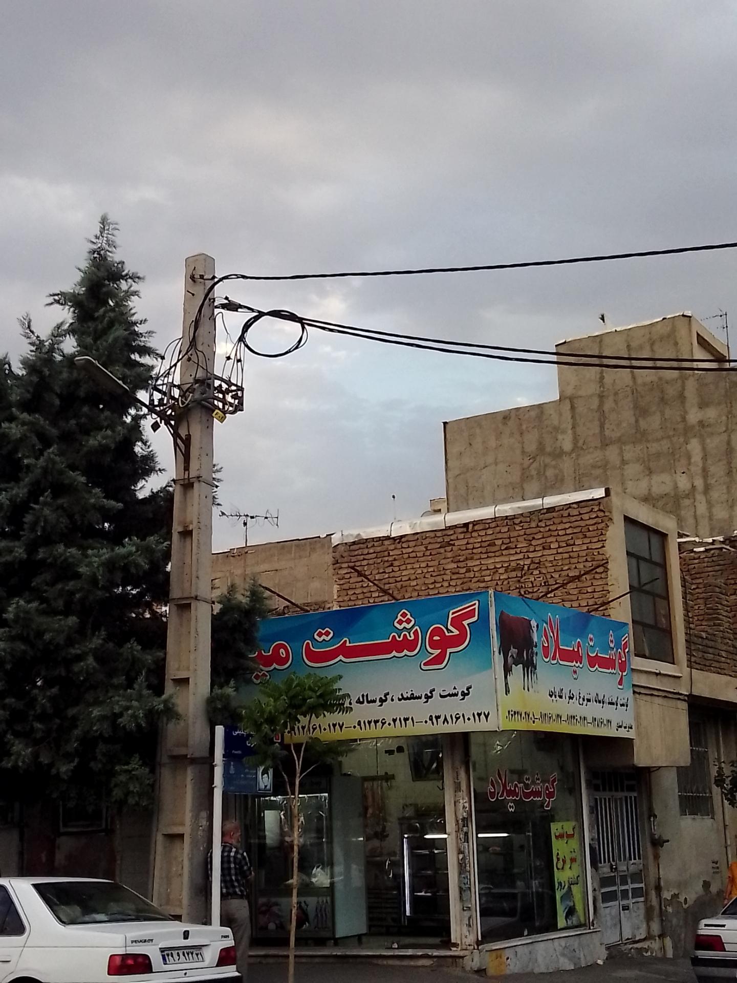 عکس گوشت میلاد