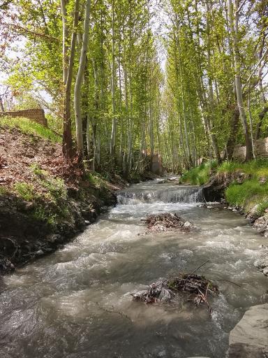 عکس شاندیز خادر
