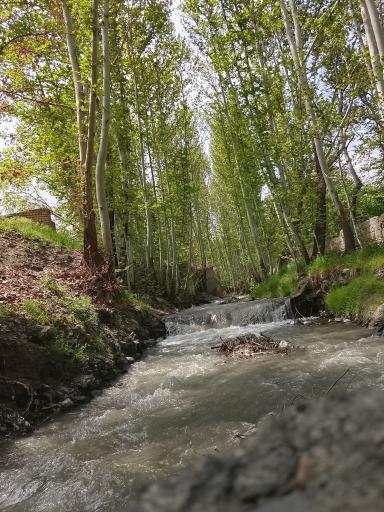 عکس شاندیز خادر