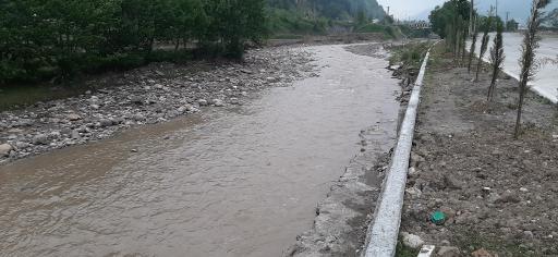 عکس کارسالار