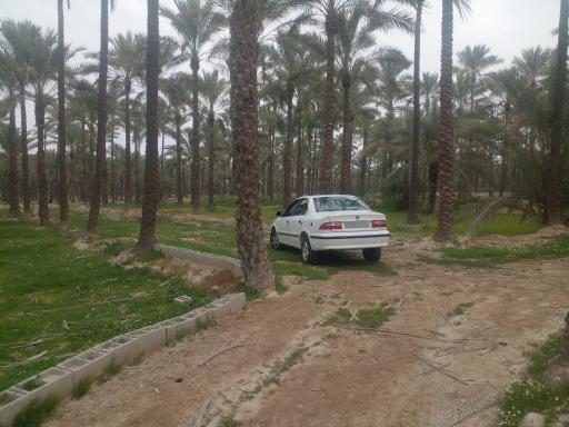 عکس بوشهر