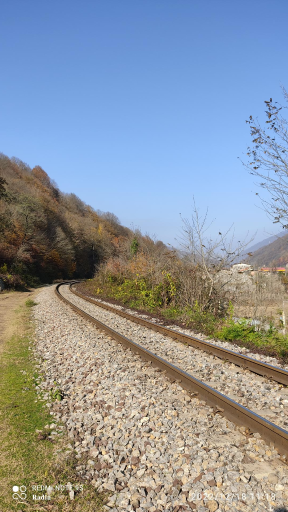 عکس کارسالار
