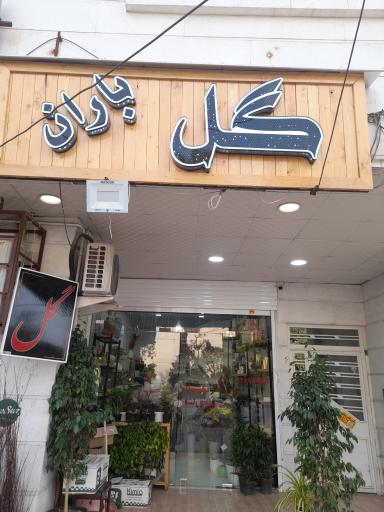 عکس گل فروشی  باران