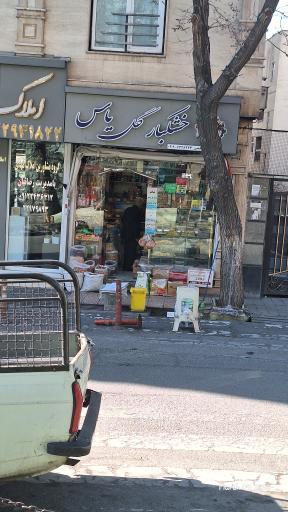 عکس خشکبار گل یاس