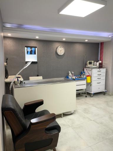 عکس کلینیک دامپزشکی دکتر ملک لو