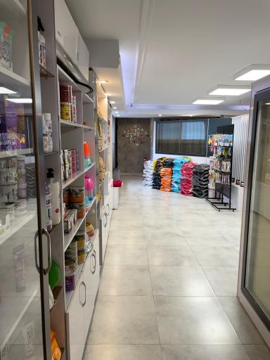 عکس کلینیک دامپزشکی دکتر ملک لو