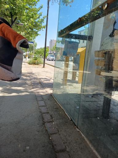 عکس  شهر رضویه