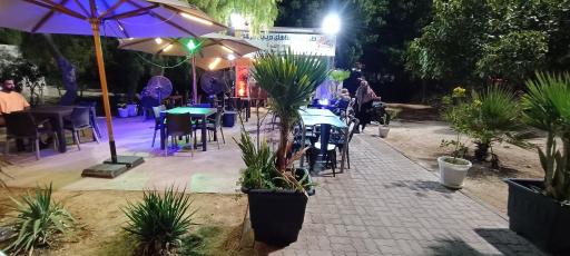 عکس غذای دریایی مرشد