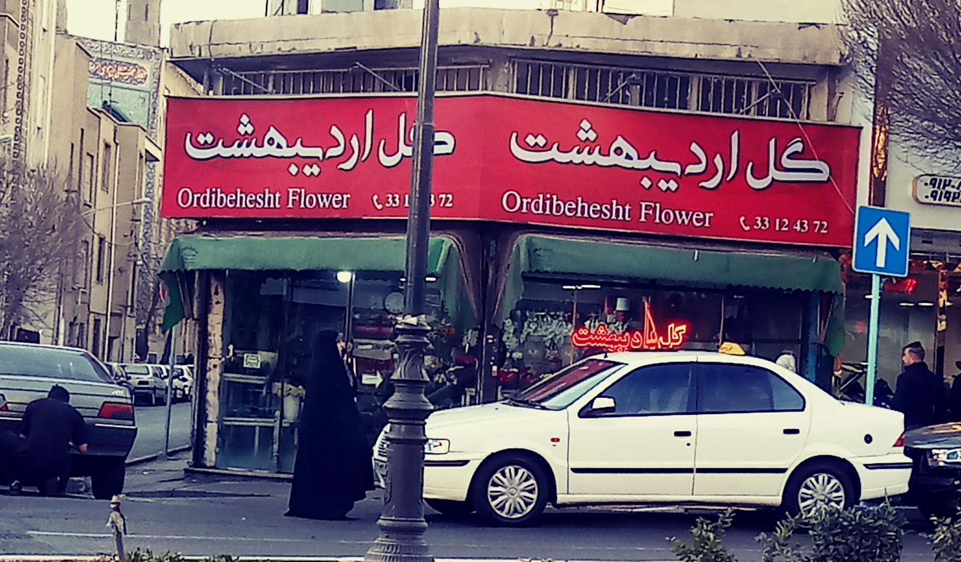 عکس گل اردیبهشت