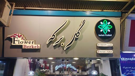 عکس گل برکه