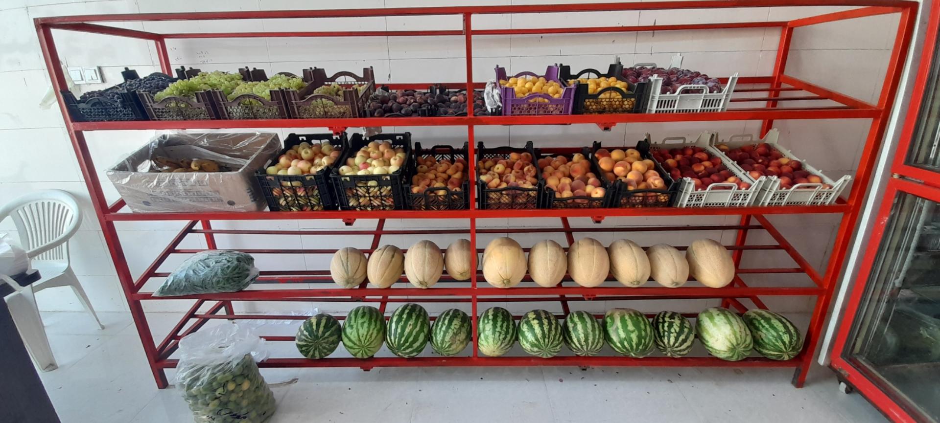 عکس مرغ و میوه چهارفصل