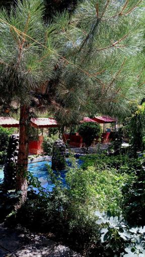 عکس باغ رستوران صفاییه